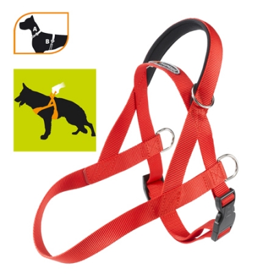 Ferplast Daytona C 40/63 kék nyakörv 75297025