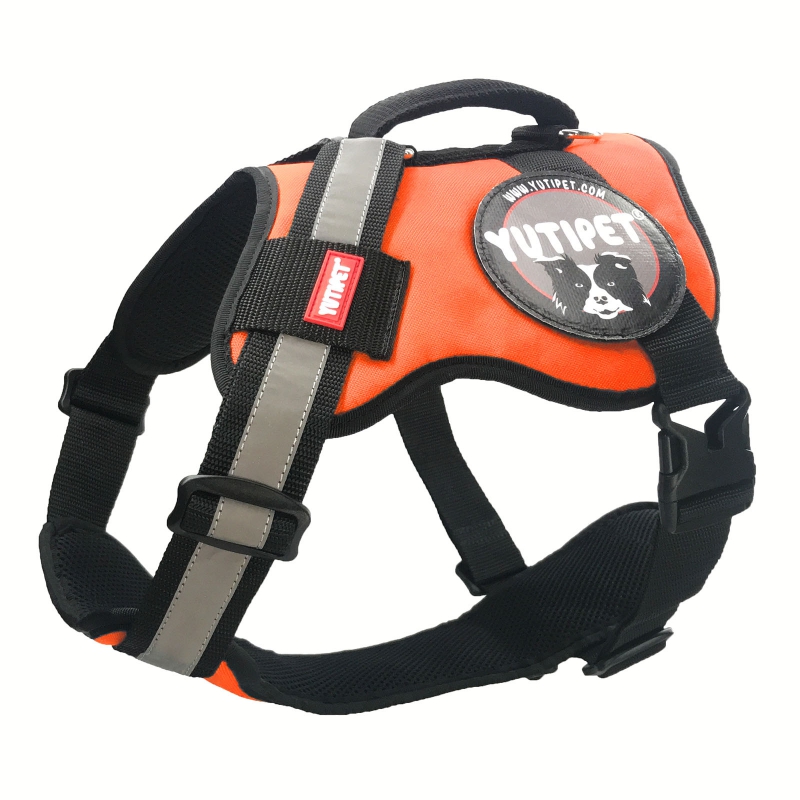 Yutipet RnD Kutyahám L Narancs