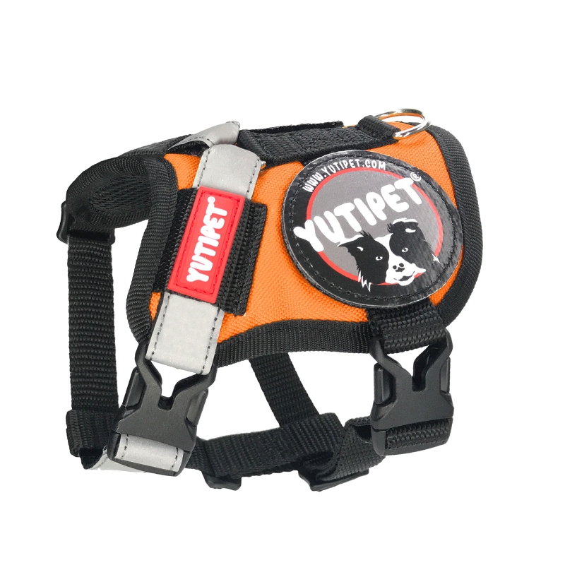 Yutipet RnD Kutyahám XS Narancs